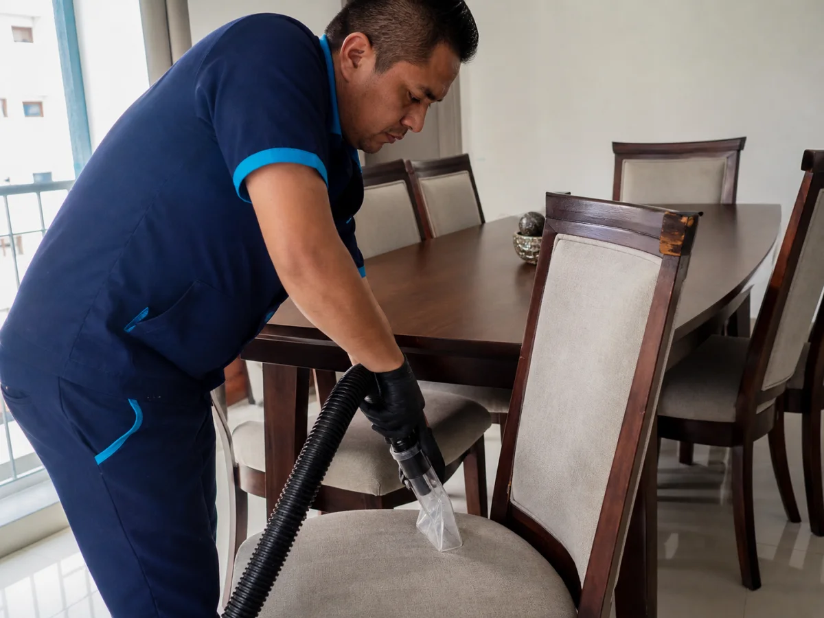 Especialista M.O.M limpiando tapicería de sillas